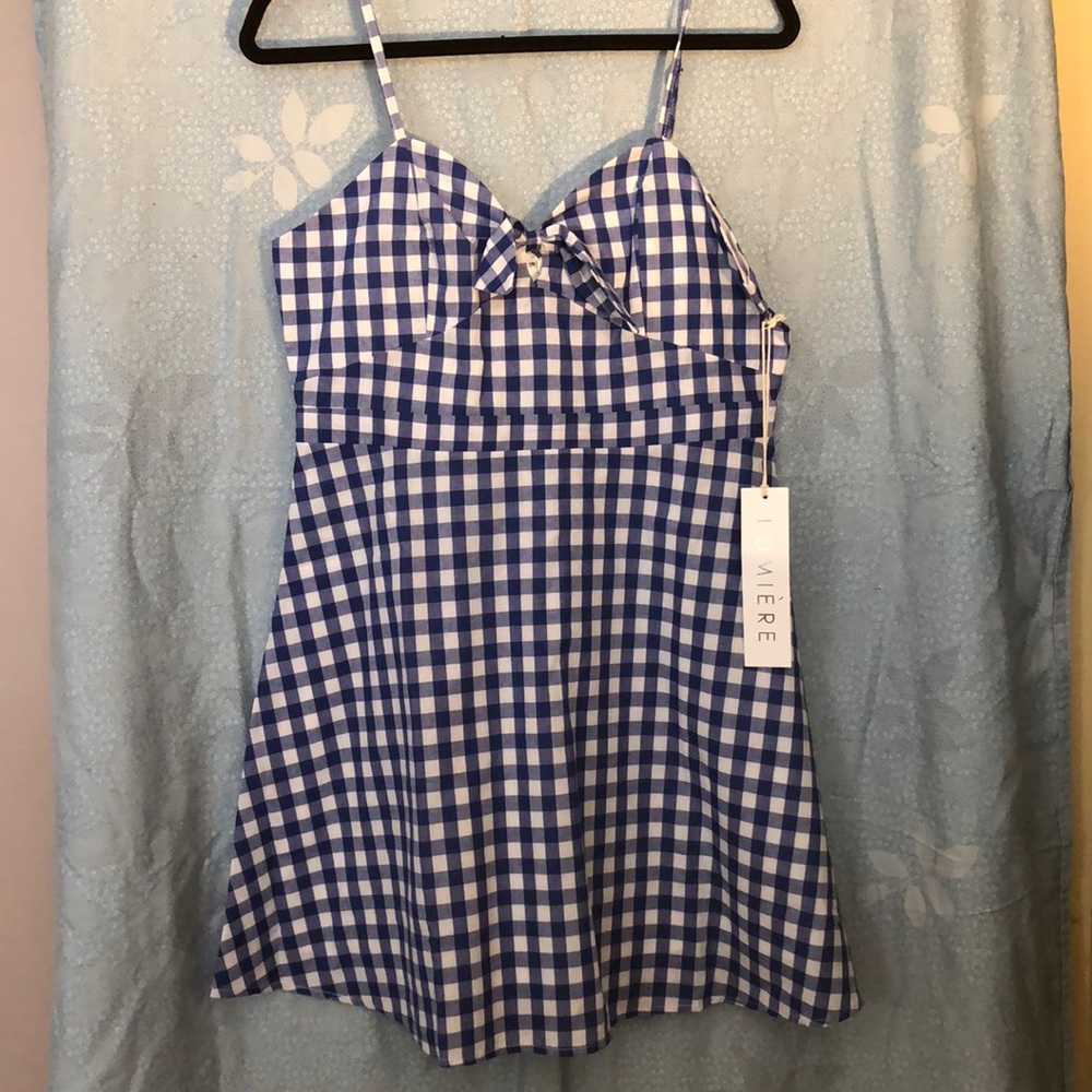 NWT. Lumière blue and white gingham skater dress.
